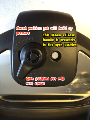 insta pot steam release handle open