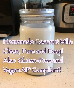 Homemade Coconut Milk Clean Pure Easy Also Gluten-Free and Vegan AIP Compliant