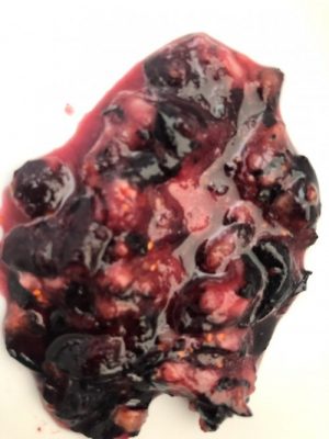 instant pot blueberry compote topping