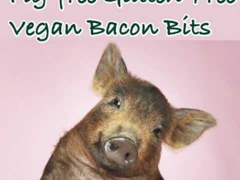 Vegan, Gluten-Free Bacon Bits